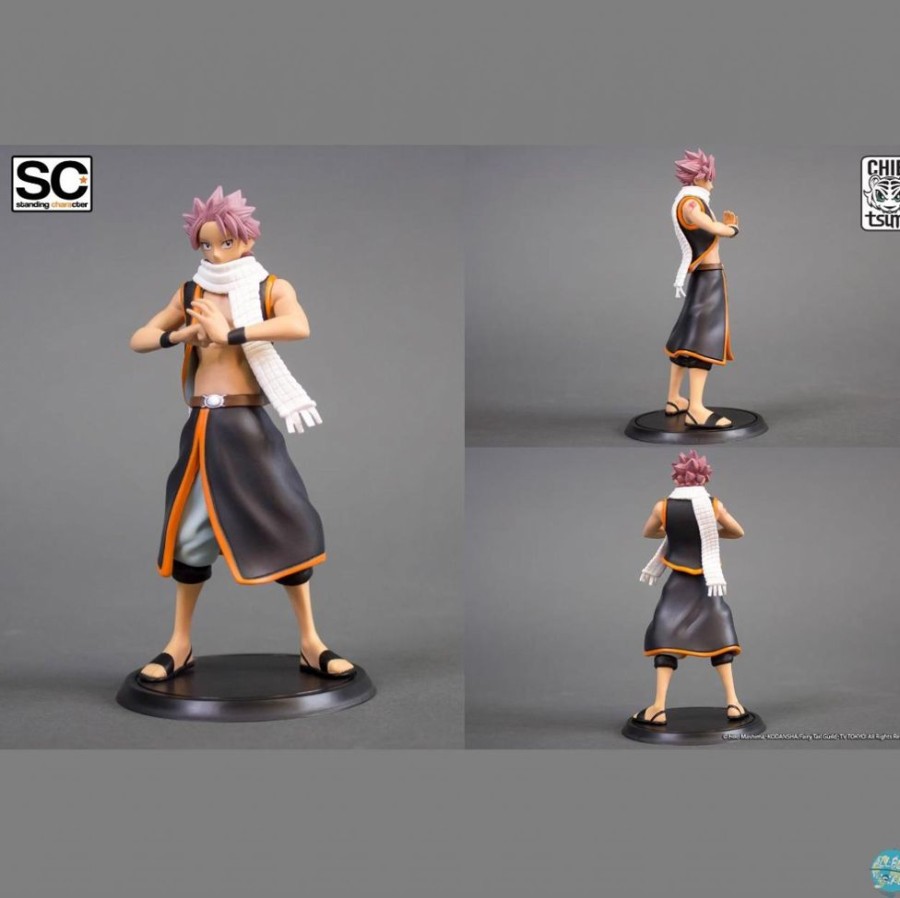 Shop Tsume Tsume Figuren & Statuen | Fairy Tail - Natsu Dragnir Figur - Standing Characters: Tsume